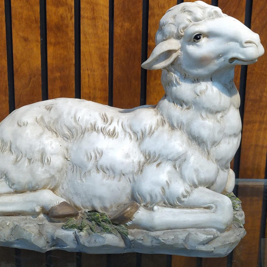 Sheep 6"